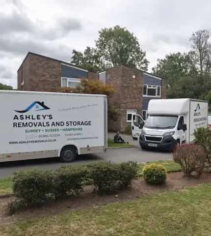 Home move, packing service, professional moves with ease